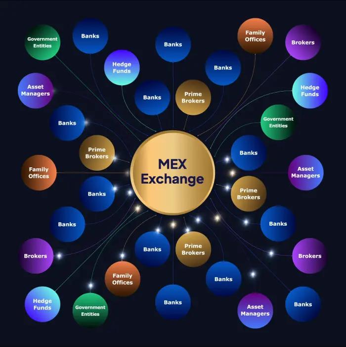 MEX Exchange Network