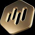 MB GOLD COIN